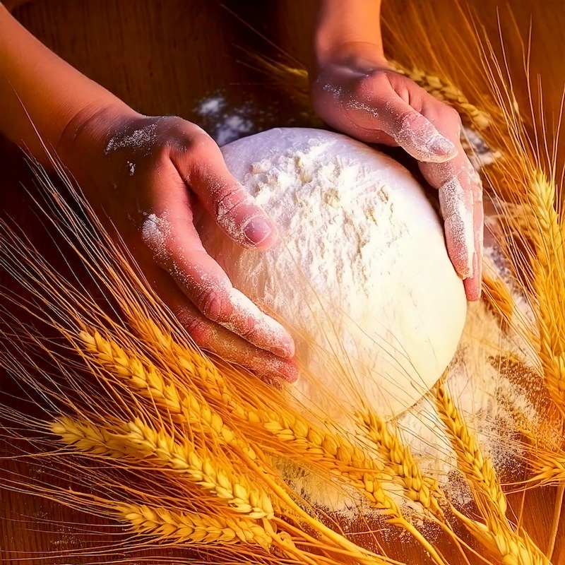 Basi Pinsa romana di qualità e 100% eco sostenibili